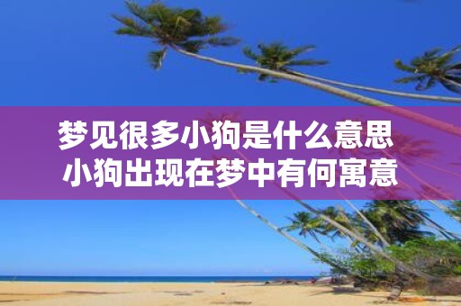 梦见很多小狗是什么意思 小狗出现在梦中有何寓意