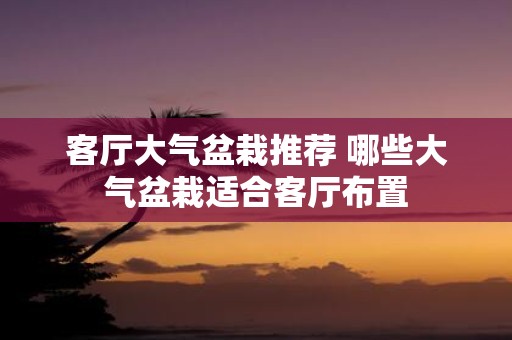 客厅大气盆栽推荐 哪些大气盆栽适合客厅布置