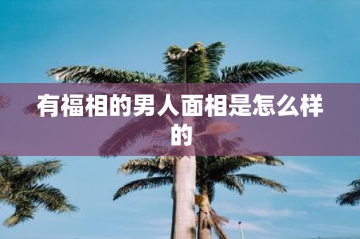 有福相的男人面相是怎么样的