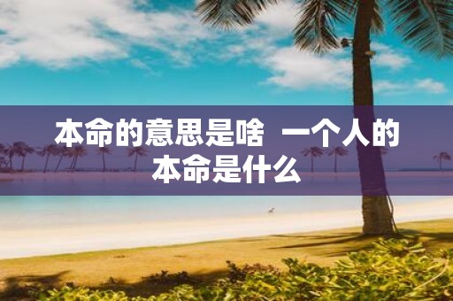 本命的意思是啥 一个人的本命是什么