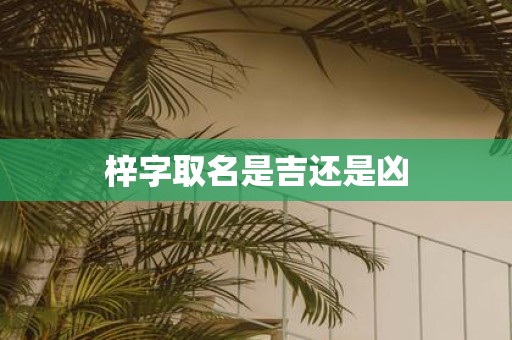 梓字取名是吉还是凶