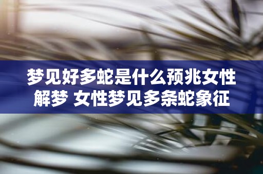 梦见好多蛇是什么预兆女性解梦 女性梦见多条蛇象征什么