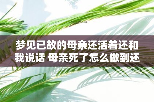 梦见已故的母亲还活着还和我说话 母亲死了怎么做到还能和我说话