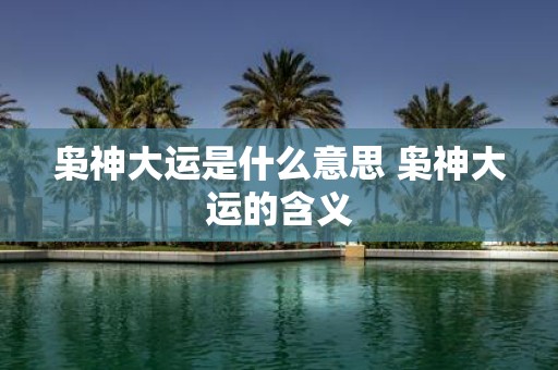 枭神大运是什么意思 枭神大运的含义