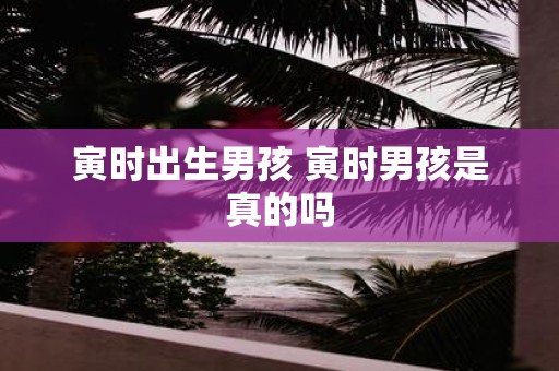 寅时出生男孩 寅时男孩是真的吗