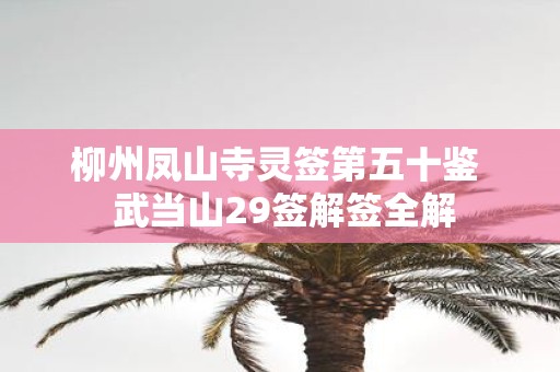 柳州凤山寺灵签第五十鉴 武当山29签解签全解
