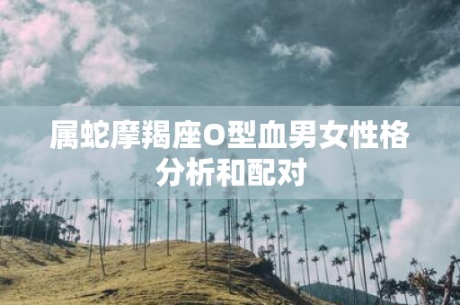 属蛇摩羯座O型血男女性格分析和配对