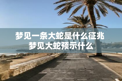 梦见一条大蛇是什么征兆 梦见大蛇预示什么