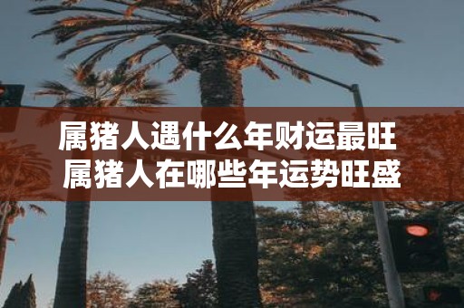 属猪人遇什么年财运最旺 属猪人在哪些年运势旺盛