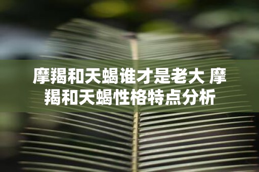 摩羯和天蝎谁才是老大 摩羯和天蝎性格特点分析