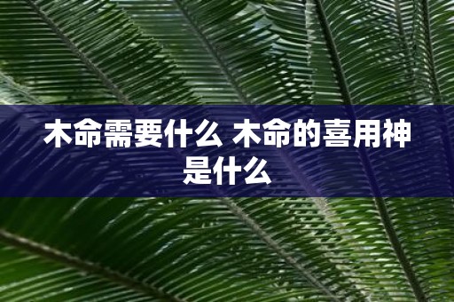 木命需要什么 木命的喜用神是什么