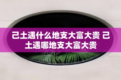 己土遇什么地支大富大贵 己土遇哪地支大富大贵