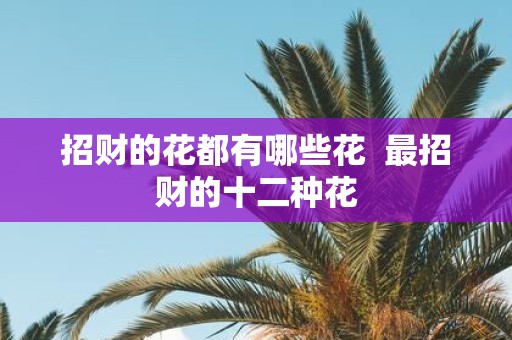 招财的花都有哪些花 最招财的十二种花