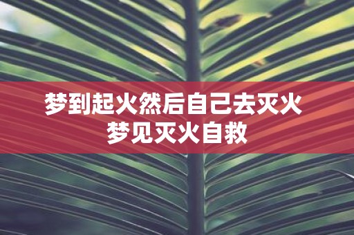 梦到起火然后自己去灭火 梦见灭火自救
