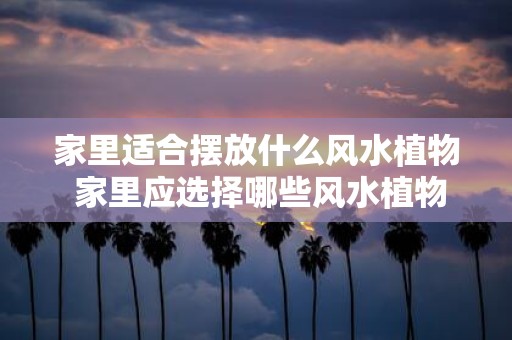 家里适合摆放什么风水植物 家里应选择哪些风水植物