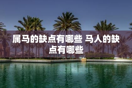 属马的缺点有哪些 马人的缺点有哪些