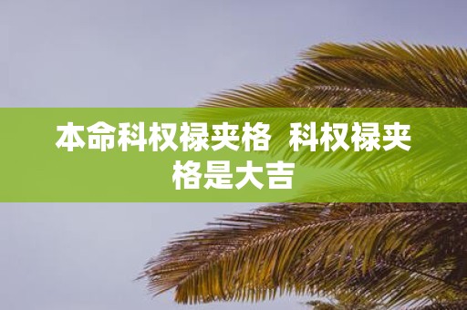 本命科权禄夹格 科权禄夹格是大吉