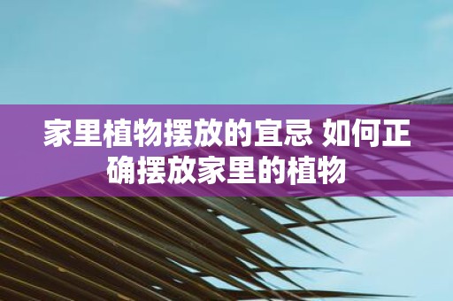 家里植物摆放的宜忌 如何正确摆放家里的植物