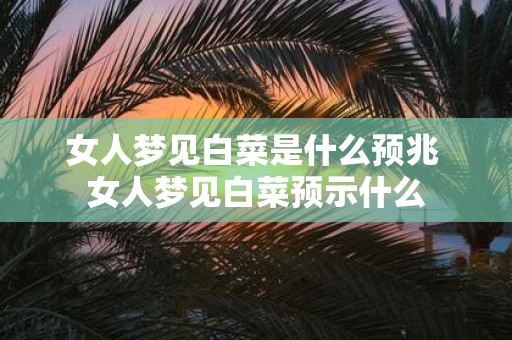 女人梦见白菜是什么预兆 女人梦见白菜预示什么