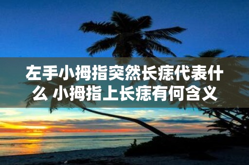 左手小拇指突然长痣代表什么 小拇指上长痣有何含义