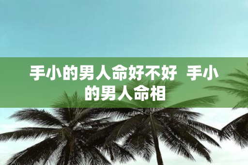 手小的男人命好不好 手小的男人命相