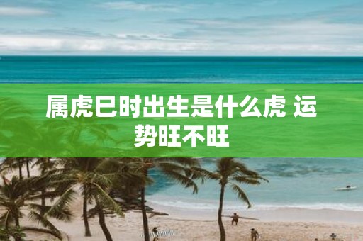 属虎巳时出生是什么虎 运势旺不旺