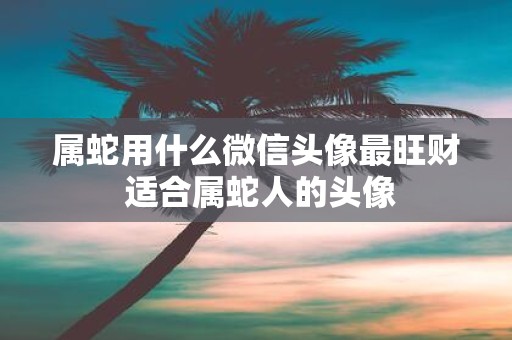 属蛇用什么微信头像最旺财 适合属蛇人的头像