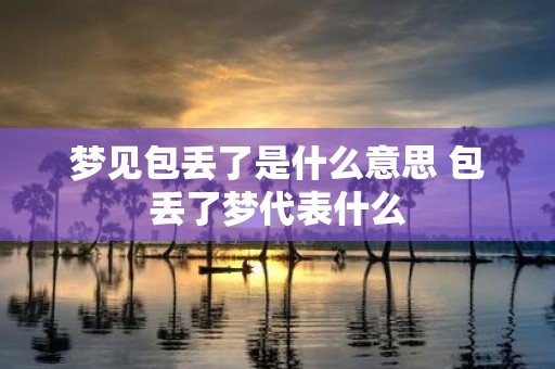 梦见包丢了是什么意思 包丢了梦代表什么