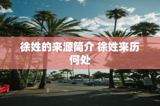 徐姓的来源简介 徐姓来历何处