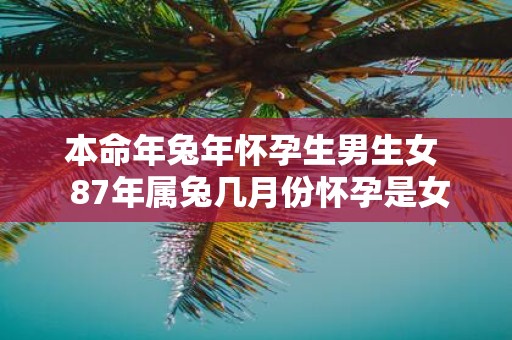 本命年蛇年怀孕生男生女 87年属兔几月份怀孕是女孩