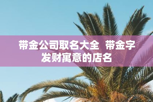 带金公司取名大全 带金字发财寓意的店名