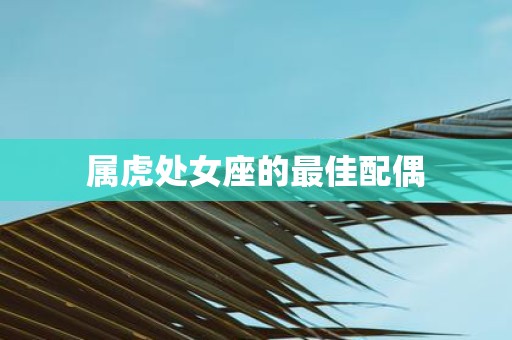 属虎处女座的最佳配偶