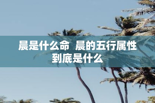 晨是什么命 晨的五行属性到底是什么