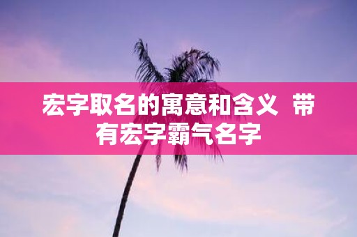 宏字取名的寓意和含义 带有宏字霸气名字