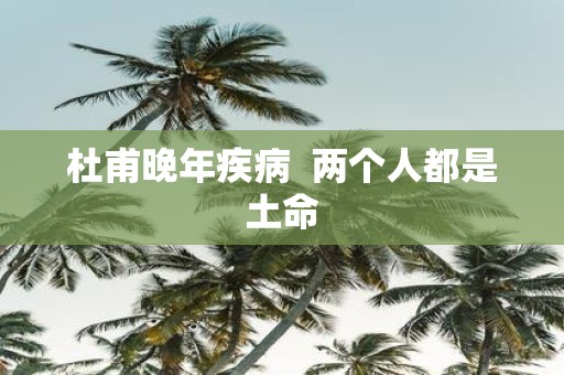 杜甫晚年疾病 两个人都是土命