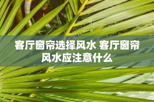 客厅窗帘选择风水 客厅窗帘风水应注意什么