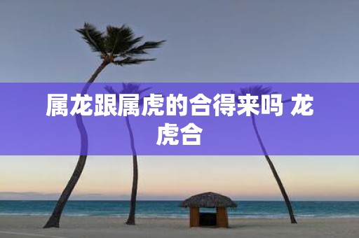 属龙跟属虎的合得来吗 龙虎合