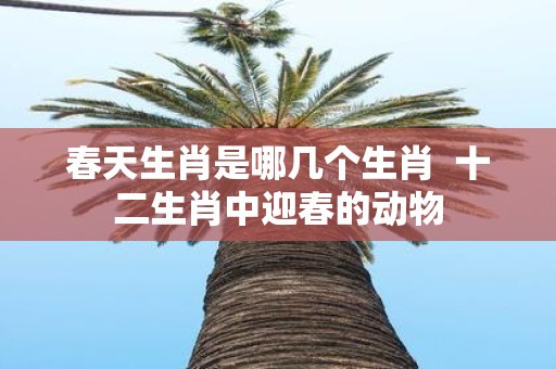 春天生肖是哪几个生肖 十二生肖中迎春的动物