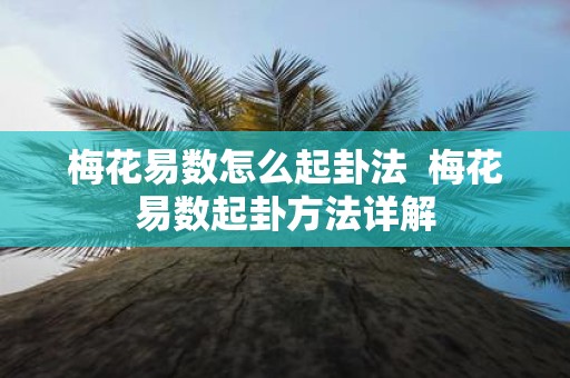 梅花易数怎么起卦法 梅花易数起卦方法详解