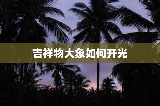 吉祥物大象如何开光