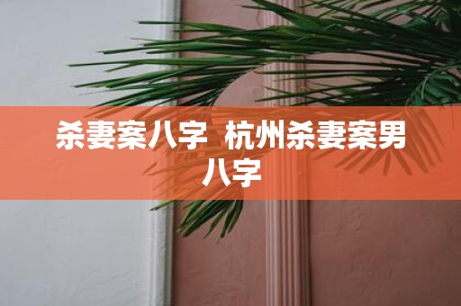杀妻案八字 杭州杀妻案男八字