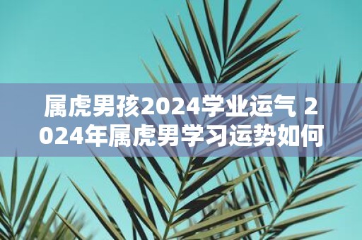 属虎男孩2025学业运气 2025年属虎男学习运势如何
