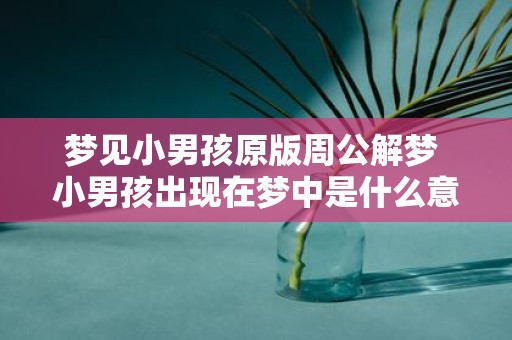 梦见小男孩原版周公解梦 小男孩出现在梦中是什么意思