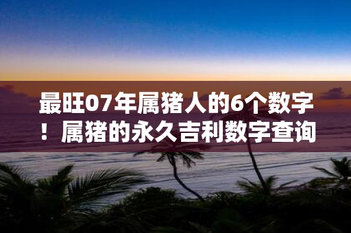 最旺07年属猪人的6个数字！属猪的永久吉利数字查询