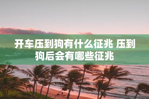 开车压到狗有什么征兆 压到狗后会有哪些征兆