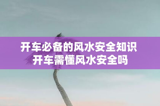 开车必备的风水安全知识 开车需懂风水安全吗