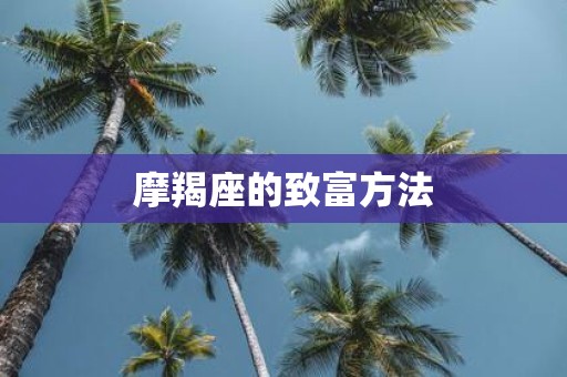 摩羯座的致富方法
