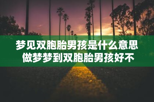 梦见双胞胎男孩是什么意思 做梦梦到双胞胎男孩好不好