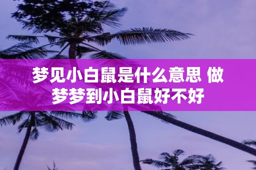 梦见小白鼠是什么意思 做梦梦到小白鼠好不好