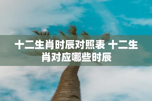 十二生肖时辰对照表 十二生肖对应哪些时辰